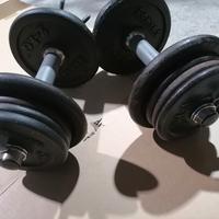 kit manubri palestra 20 kg, più manubri 