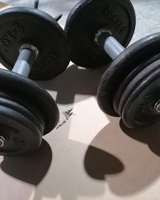 kit manubri palestra 20 kg, più manubri 