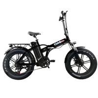 Bici Elettrica 500W Full Optional