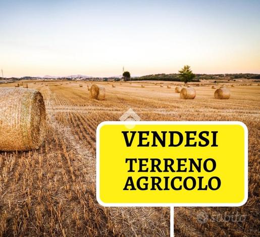 TER. AGRICOLO A POIRINO