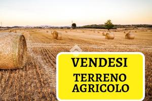 TER. AGRICOLO A POIRINO