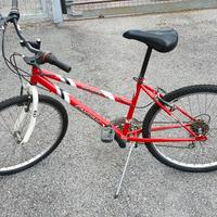 Mountain Bike Jupiter Engine