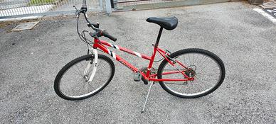 Mountain Bike Jupiter Engine