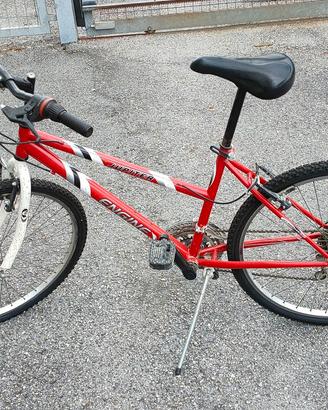 Mountain Bike Jupiter Engine