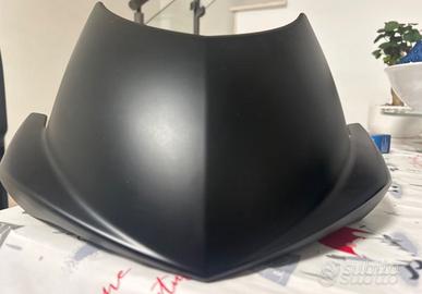 Cupolino Triumph speed