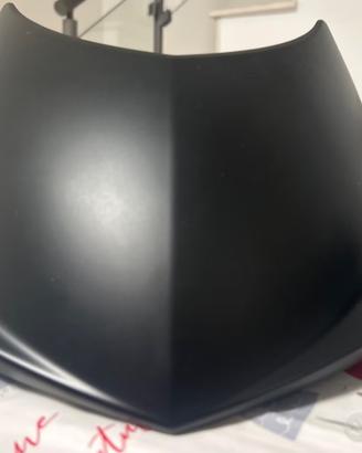 Cupolino Triumph speed