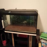 Acquario di 130 litri con mobile, misure 84x50x35,