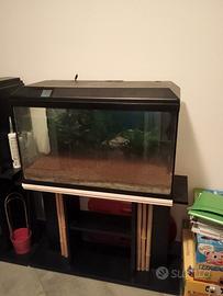 Acquario di 130 litri con mobile, misure 84x50x35,