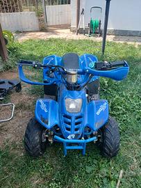  Mini quad elettrico bambini fino 10 anni