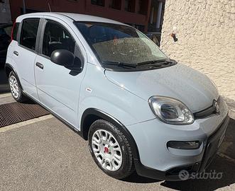 Fiat Panda Hybrid 1.0 69 CV Euro 6 - 09/2023