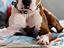 Immagine 1