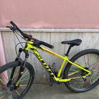 Bici Scott