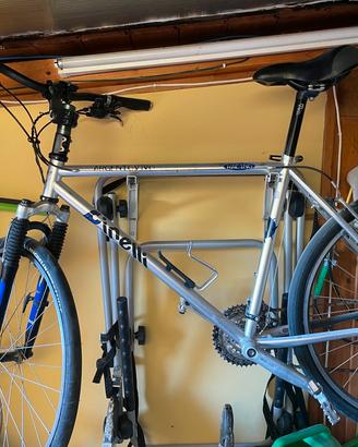 MTB Cinelli argentovivo citybike 