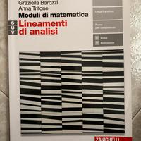 Moduli di matematica. Lineamenti di analisi