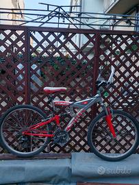 Mtb marca  Bull biammortizzata