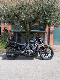 Harley-davidson Nightster std