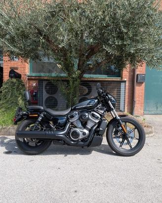 Harley-davidson Nightster std