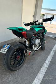Rivale 800