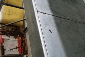 Terreno pianeggiante