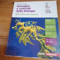 immagini e concetti della biologia 