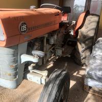 Trattore Massey Ferguson 135 special