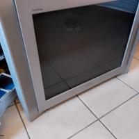 Sony Trinitron flat 29 pollici 