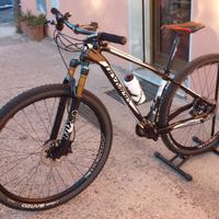 OLYMPIA CSLX 2 TEAM 1 29" TG."S"