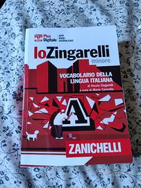 vocabolario lo Zingarelli minore 