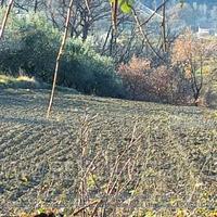 Terreno Agricolo Farindola [A4330879]