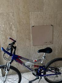 Bici Montuain bike