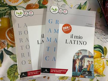 Il Mio Latino Laboratorio 2/Grammatica