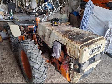 Vendita trattore + fresa + raccoglitrice nocciole