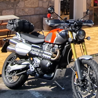 Triumph Scrambler 1200 xe Gold Line