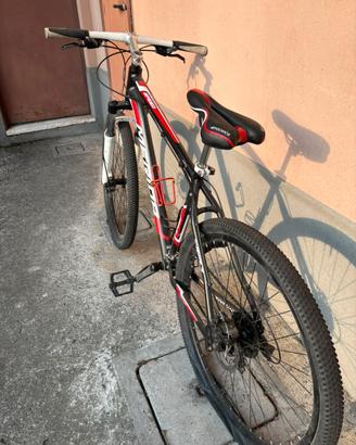 Bicicletta M-bike