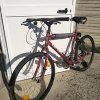 Mountain bike