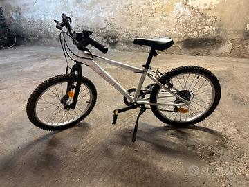 Bici Bamabino MTB 20