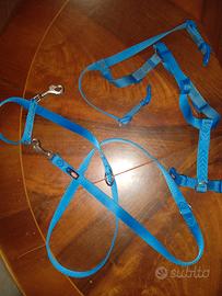 Pettorina+ guinzaglio Trixie 