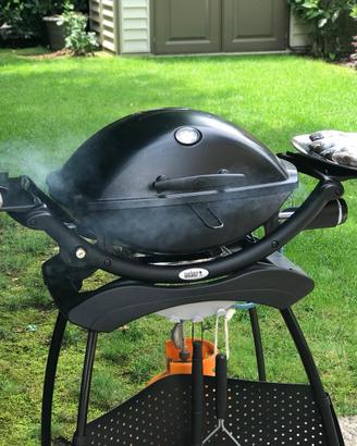 Barbecue weber a gas