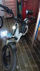 Bicicletta elettrica