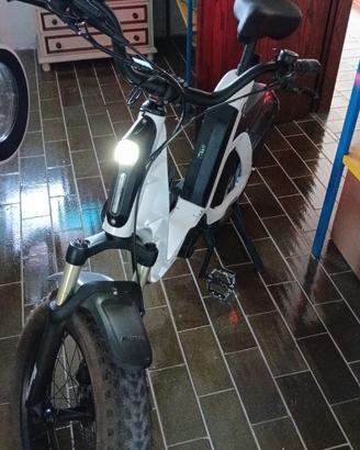 Bicicletta elettrica