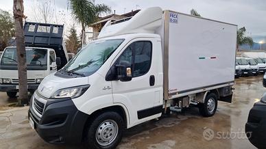 FIAT DUCATO CASSA FRIGO DOPPIA TEMPERAT. ATP - 20 