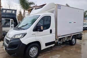 FIAT DUCATO CASSA FRIGO DOPPIA TEMPERAT. ATP - 20 