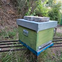 arnia e attrezzatura apistica