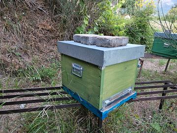 arnia e attrezzatura apistica