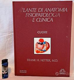 FRANK H. NETTER, ATLANTE CUORE