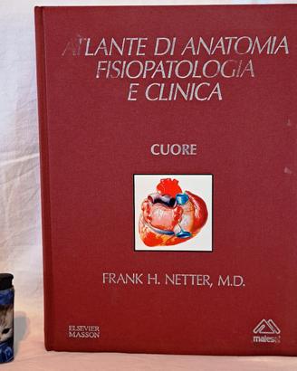 FRANK H. NETTER, ATLANTE CUORE