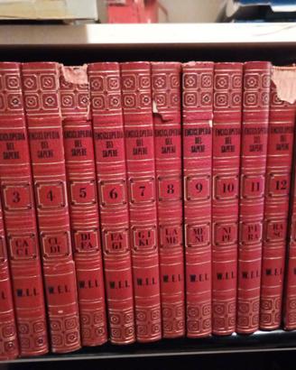 enciclopedia sapere vintage 