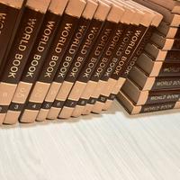 Enciclopedia World Book 1974 completa – vintage