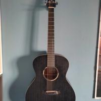 Tanglewood Blackbird