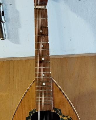 Mandolino napoletano Liuteria siciliana